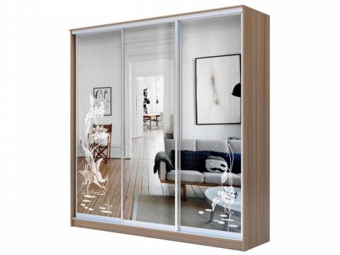 Шкаф-купе Хит 22-4-20/2-656